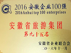 2016年度安(ān)徽企業100強