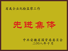 2008年度先進集體(tǐ)