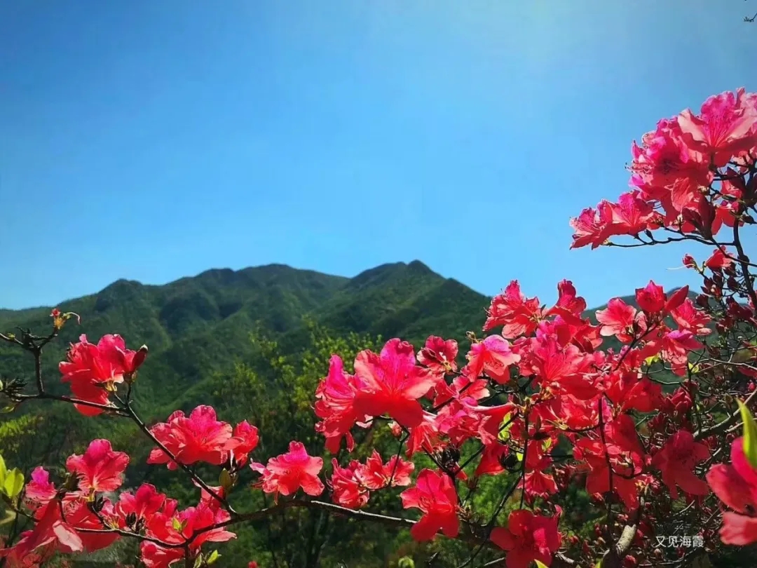 晨讀 | 桃花(huā)潭遊